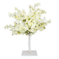 White Cherry Tree 90cm